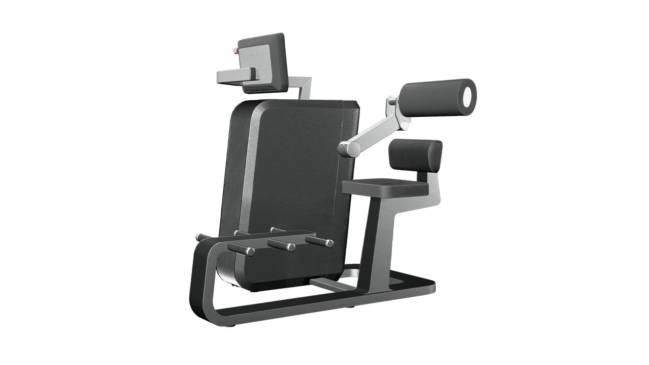 milon Q+ Back Extension